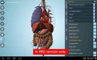 Anatomy 3D - Anatronica