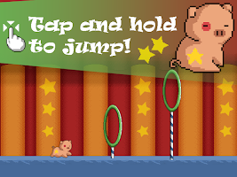 Circus Pig