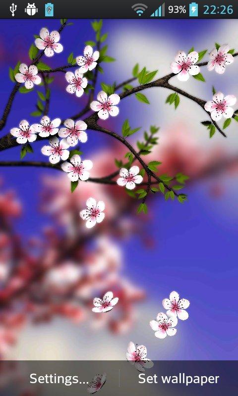 Spring Flowers