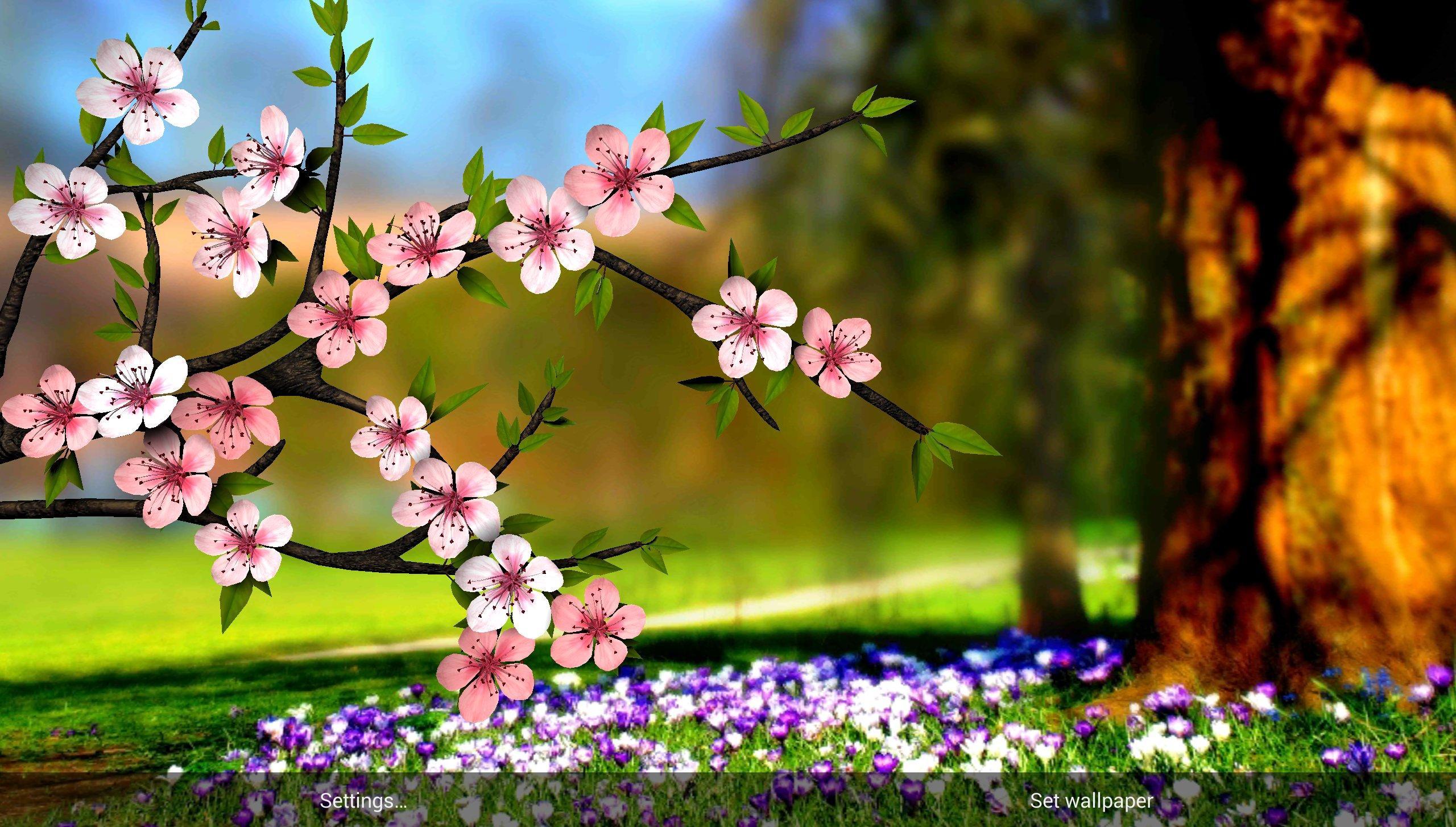 Spring Flowers