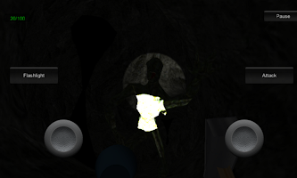 Silent Caves