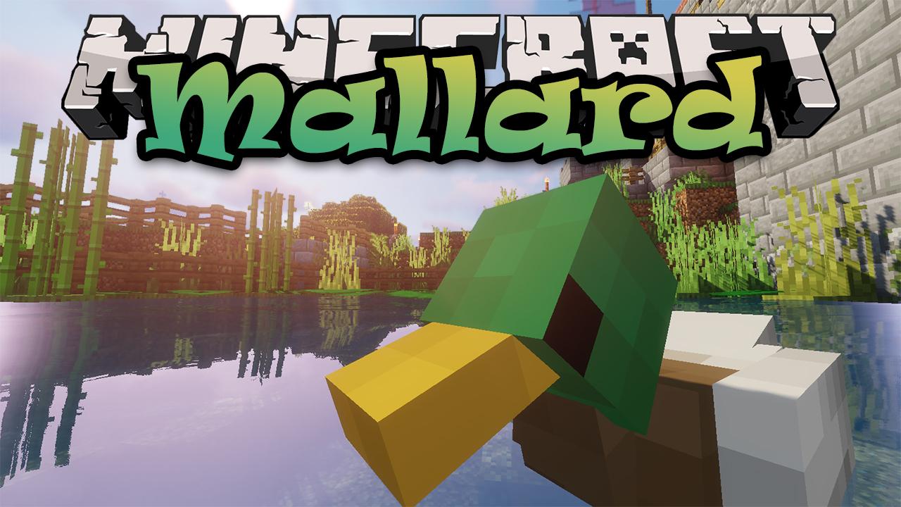 Paquete de recursos de recursos de Mallards
