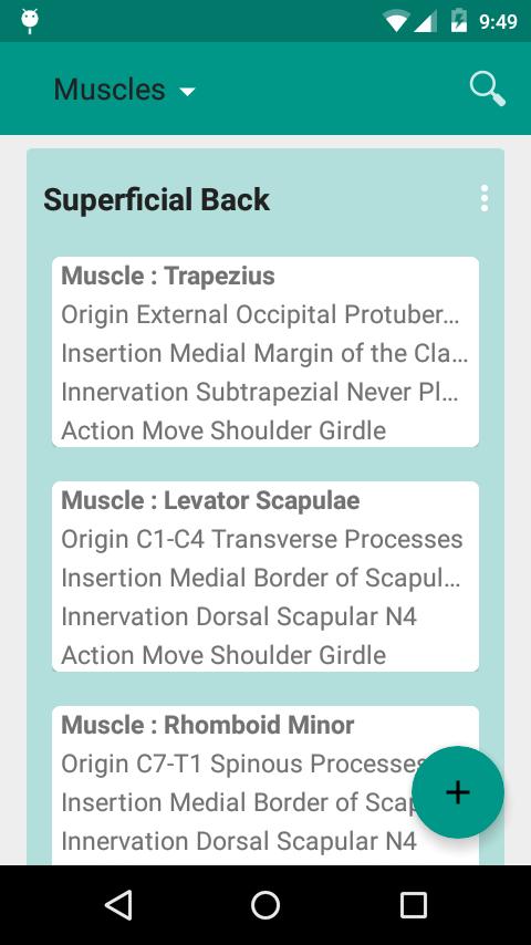 Easy Anatomy Review