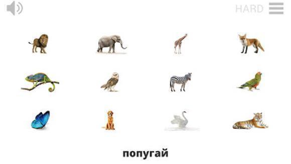 Lyrebird: Learn RUSSIAN