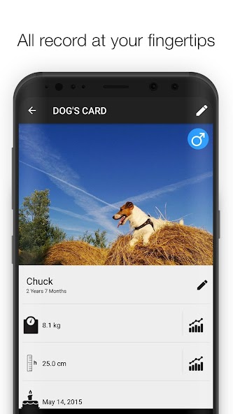 Dog Health