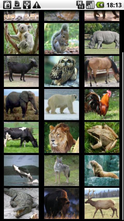 Baby Zoo Free