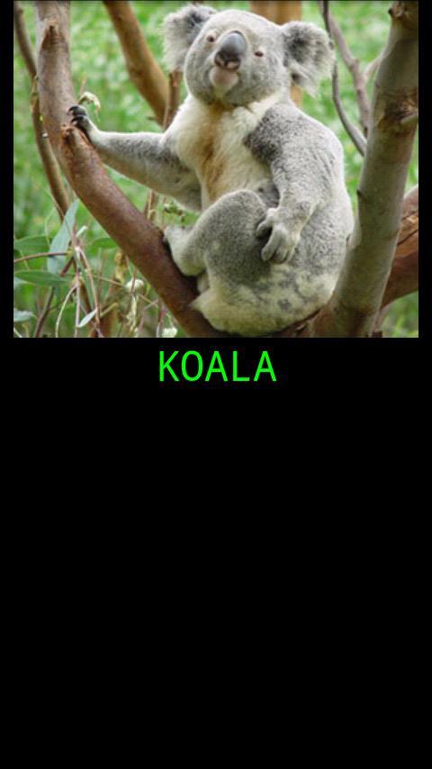 Baby Zoo Free