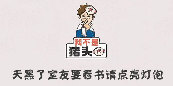 我不是猪头天黑了室友要看书请点亮灯泡介绍