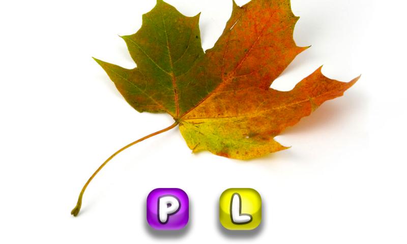 Letterology