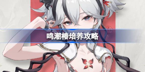 鸣潮椿培养攻略