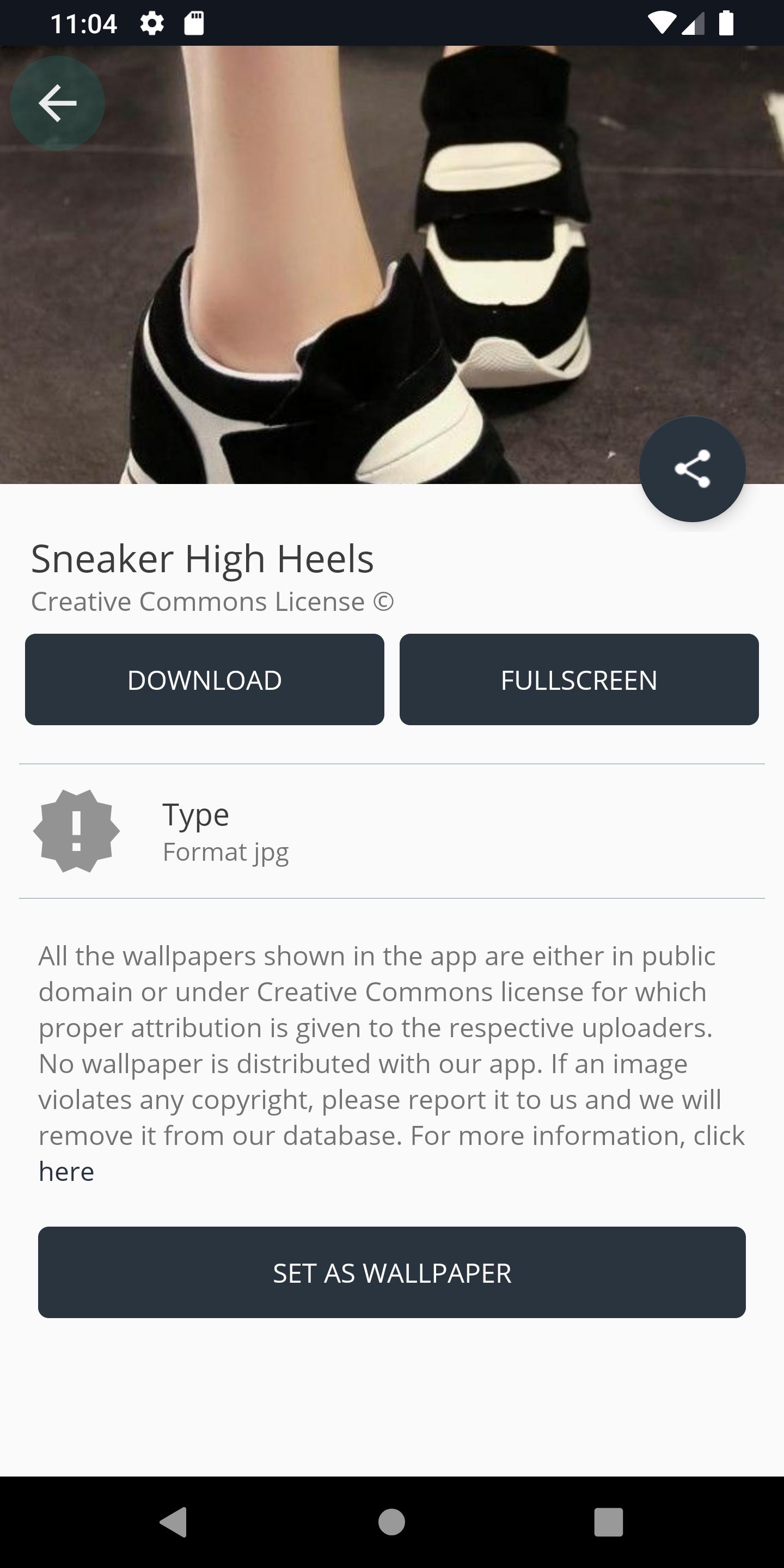 Sneaker High Heels