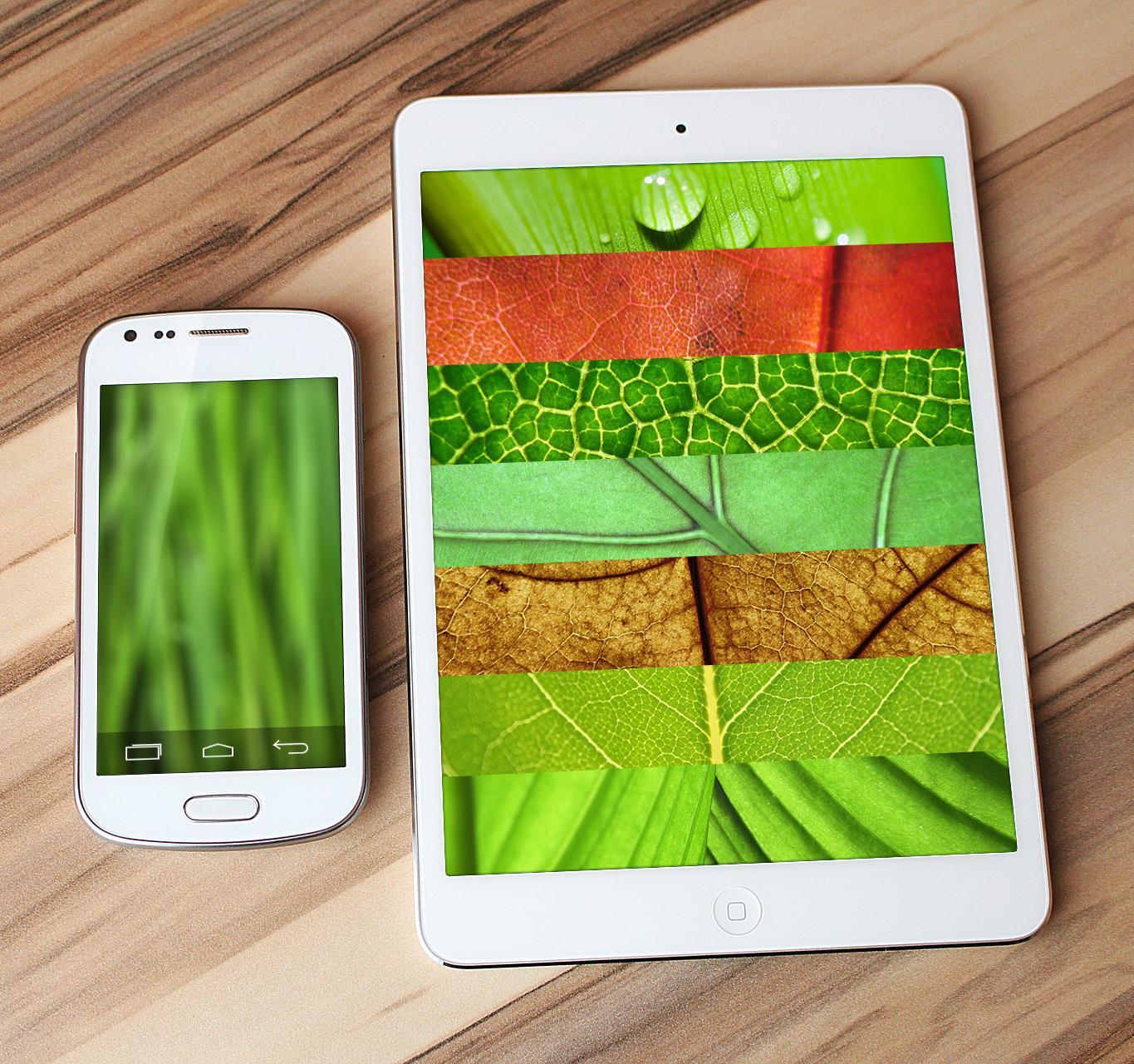 Real Leaf Wallpaper