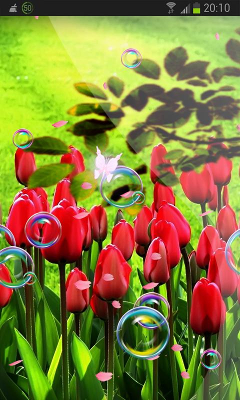 Spring Nature Live Wallpaper