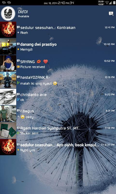BB Transparent New