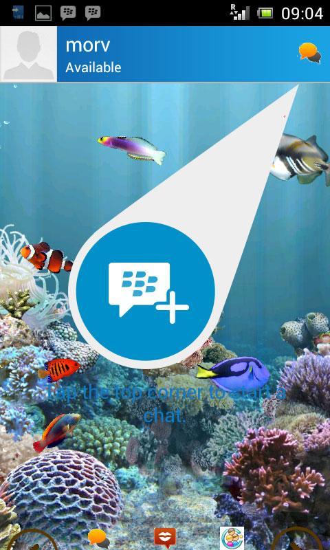 BB Transparent New