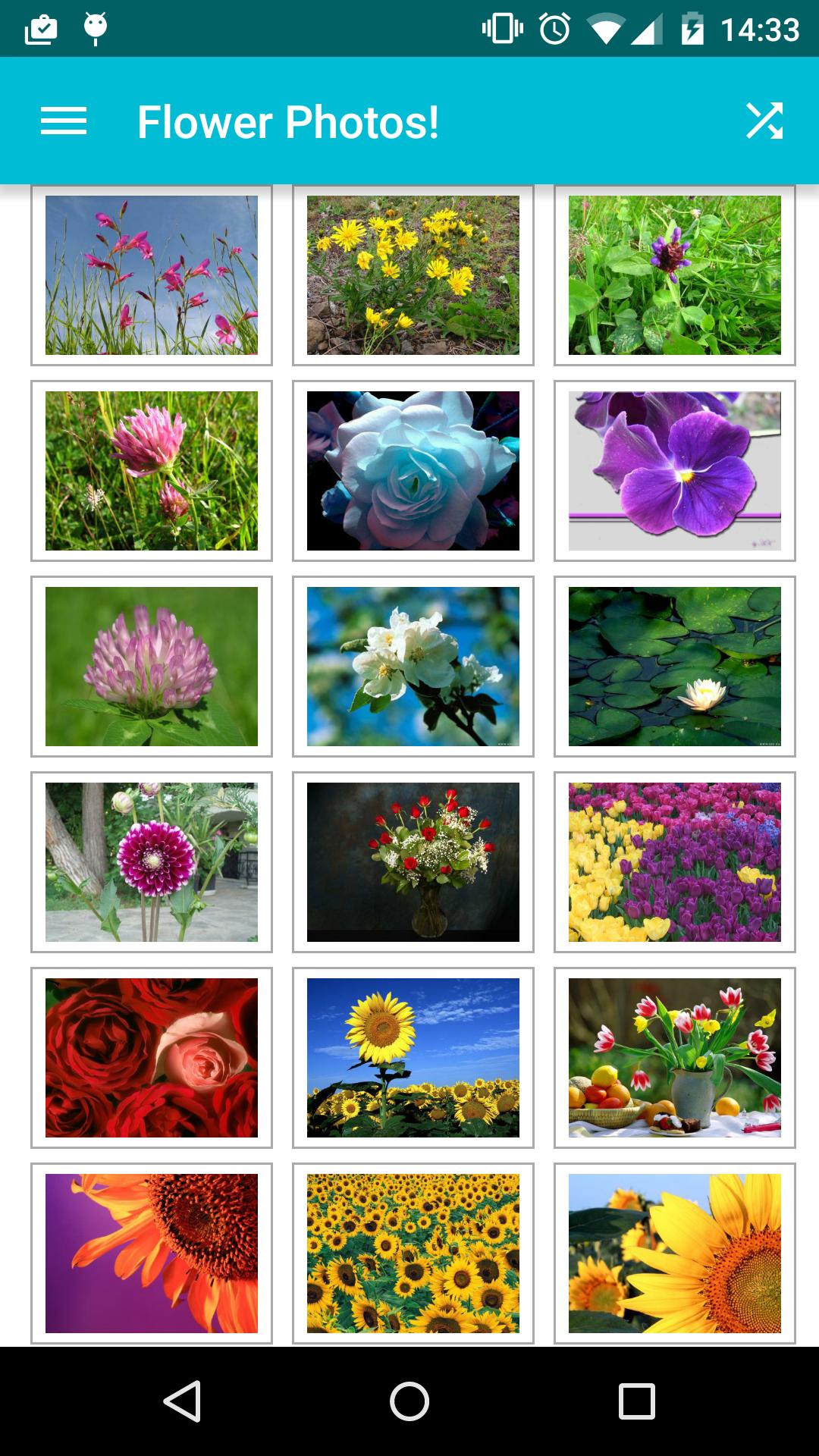 Flower Photos!