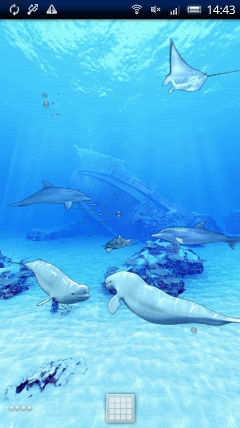 Beluga Whales Friends Trial