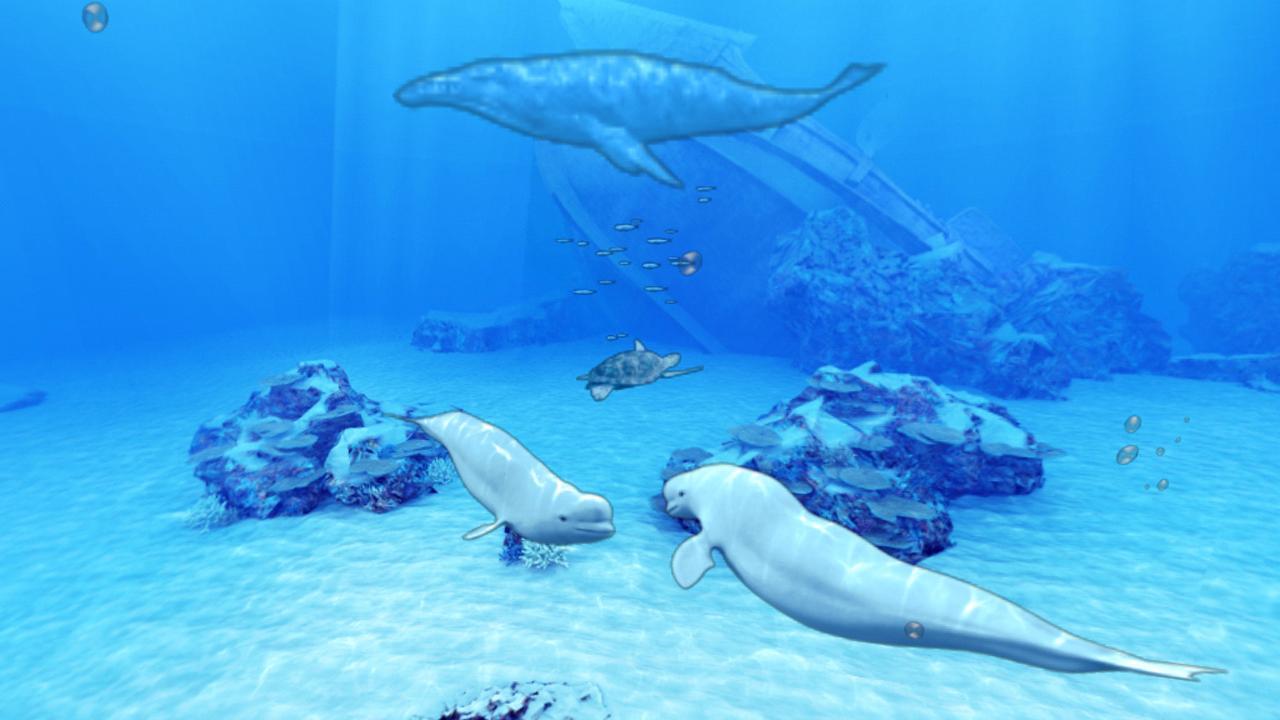 Beluga Whales Friends Trial
