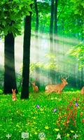 LOST IN THE FOREST LW Free