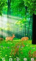 LOST IN THE FOREST LW Free