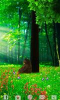 LOST IN THE FOREST LW Free
