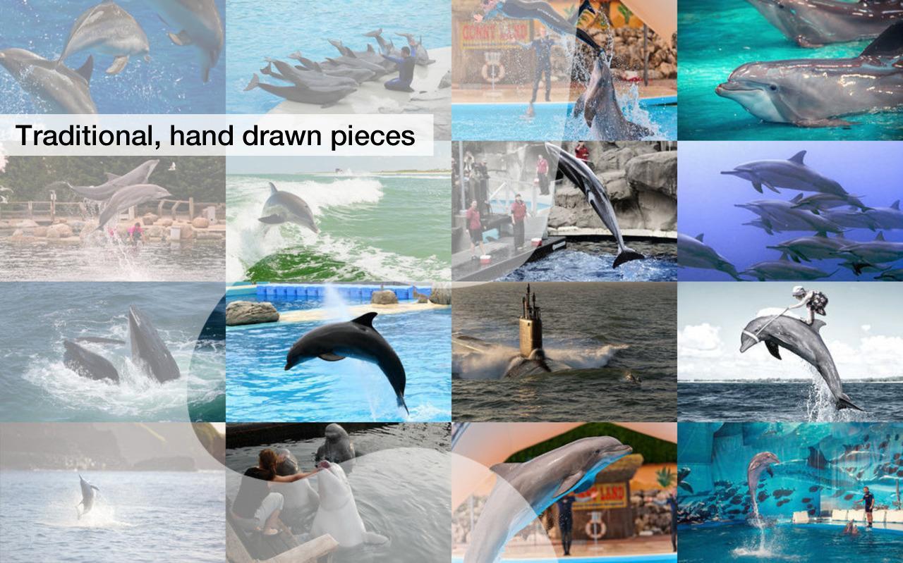 Dolphin Jigsaw Puzzles Demo