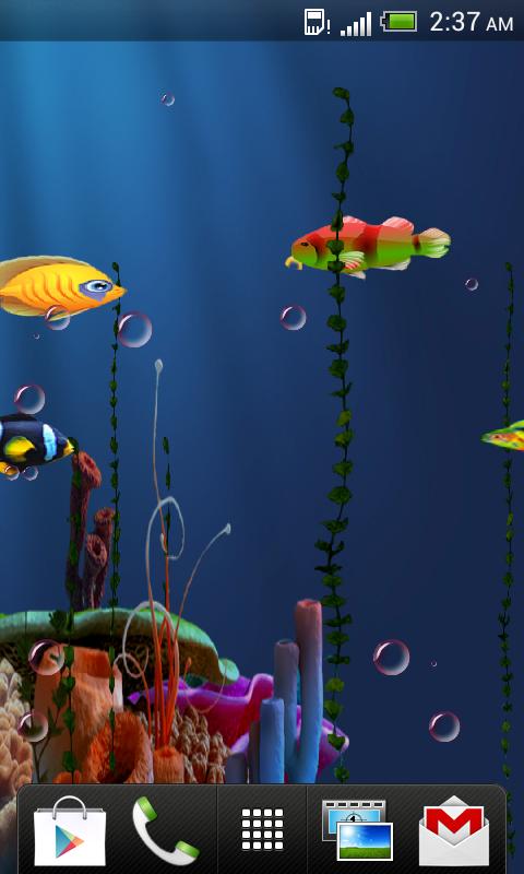 Live Fish Feed Wallpaper