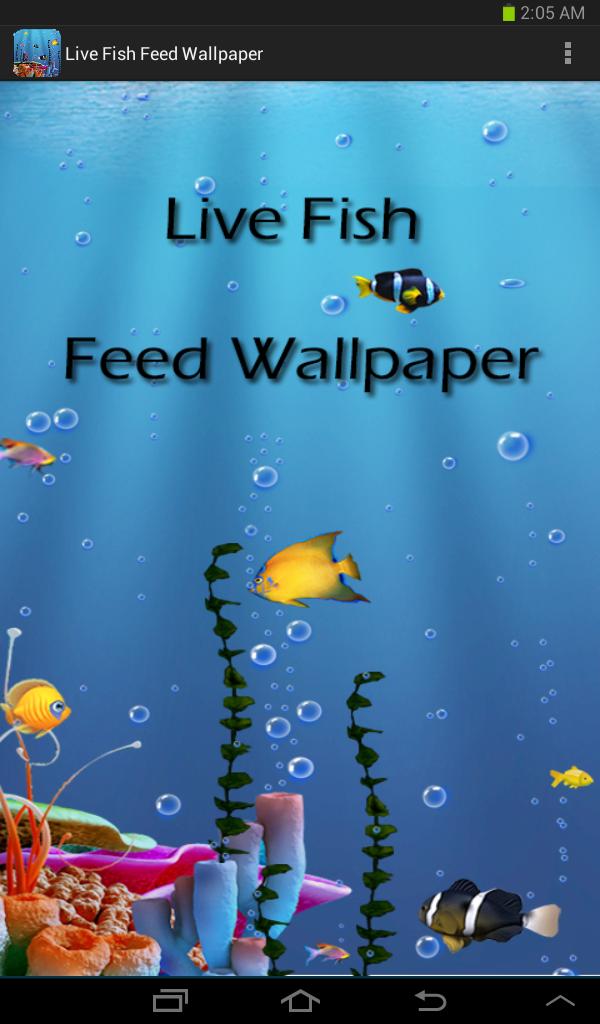 Live Fish Feed Wallpaper