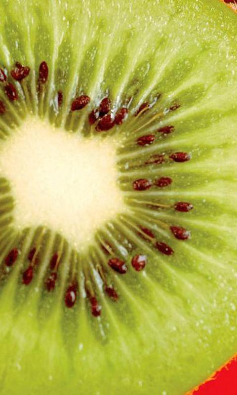 Kiwi wallpapers