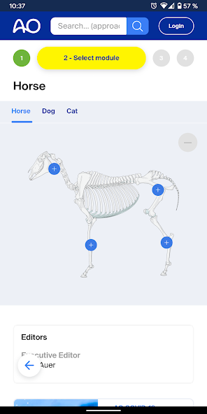 AO Surgery Reference