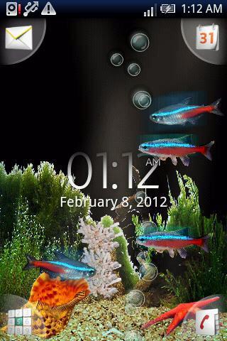 Bubbling Neon India Fish HD