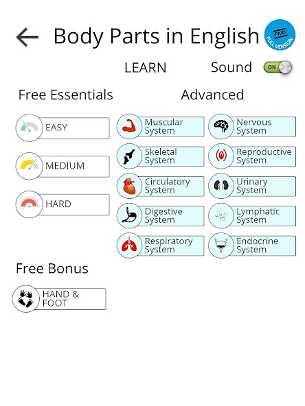 Learn Body Parts in English