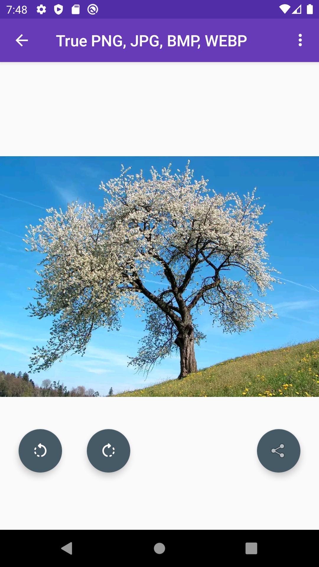 True PNG, JPG, BMP, WEBP