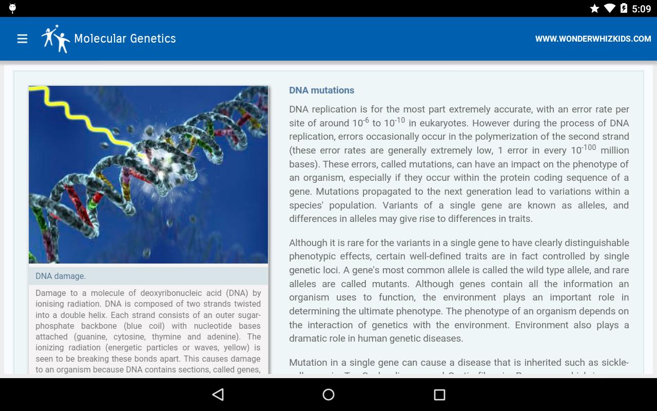 Molecular Genetics
