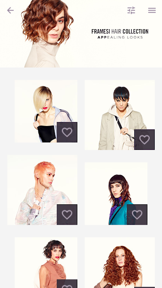 Framesi Hair Collection