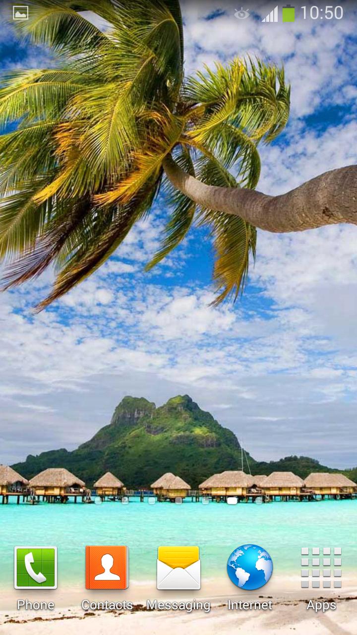 Summer Live Wallpaper