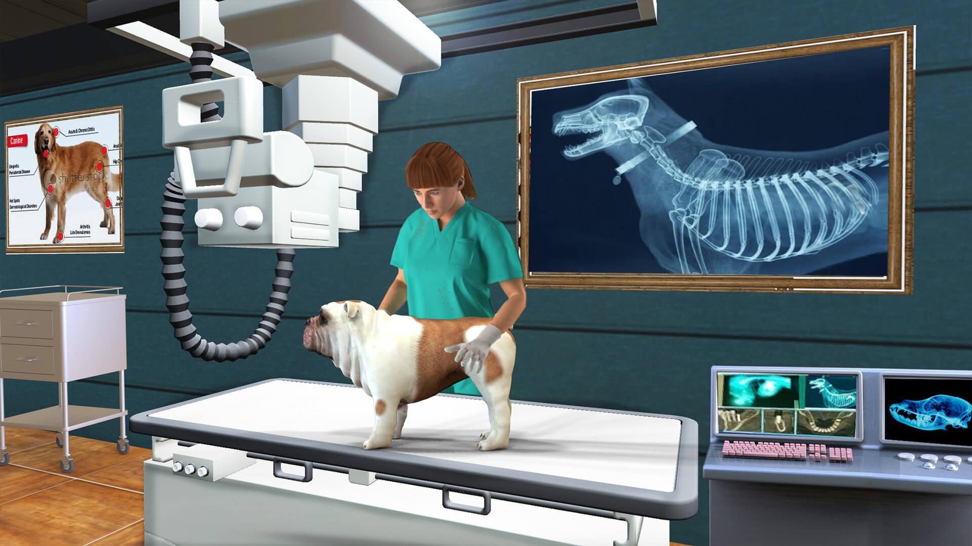 Pet Hospital Simulator Game 3D