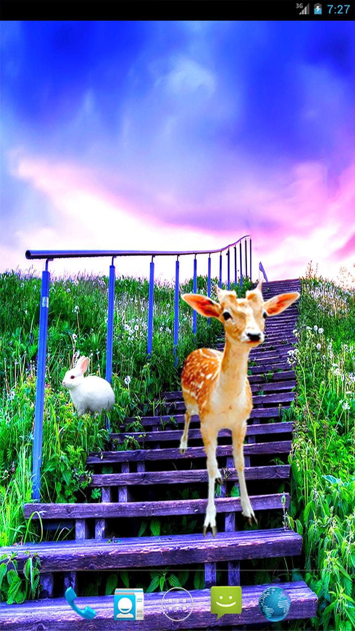 S5 Grass Land Live Wallpaper