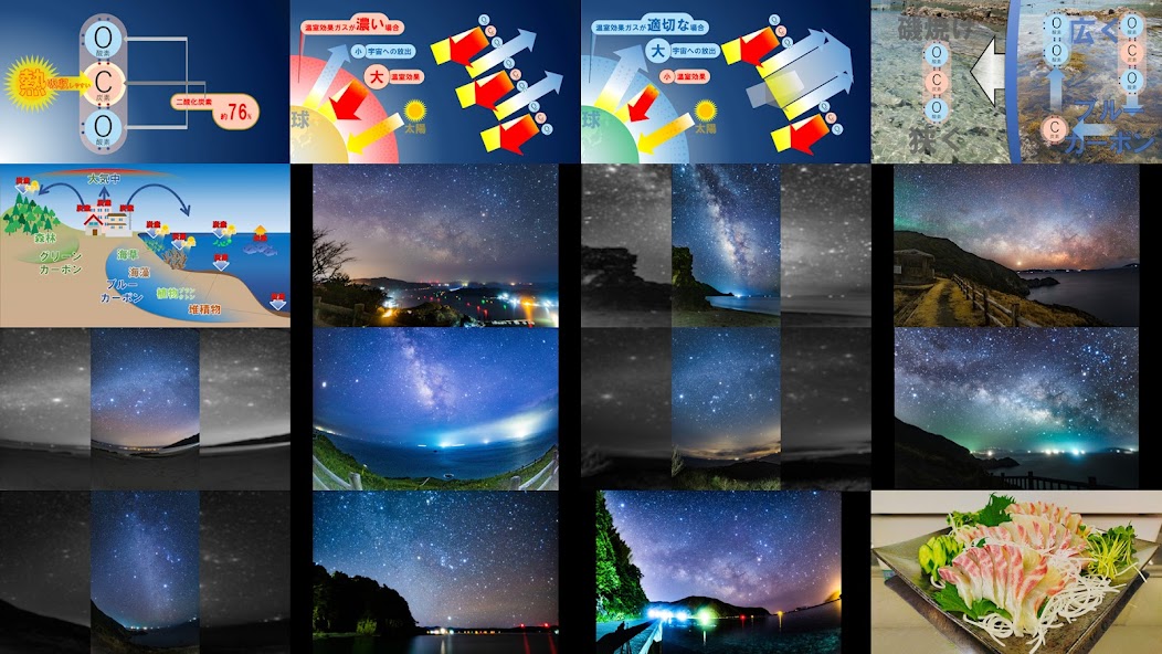 Sustainable sea puzzle