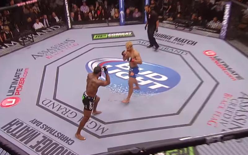 Action: WWE VS UFC Warriors