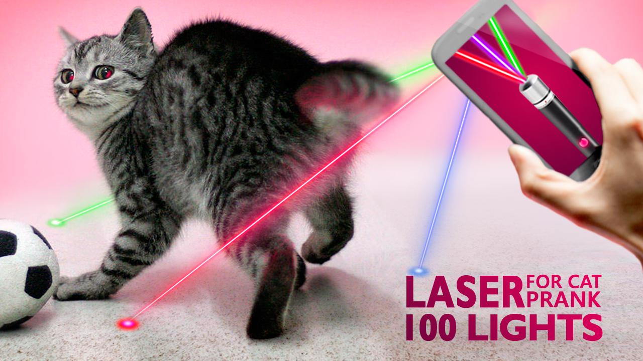 Laser for cat 100 lights Prank