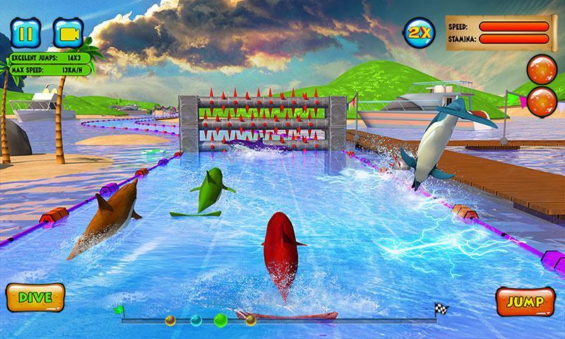Dolphin Racing 3D