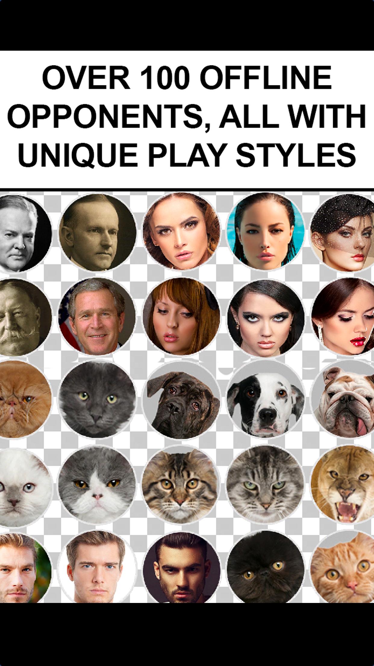 Texas Holdem Offline Poker