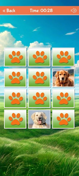Cute Dogs Cards Matching Game