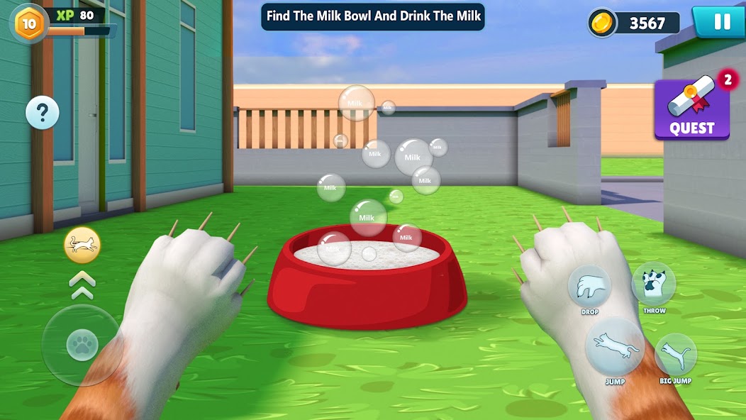 Kitty Cat Life Simulator