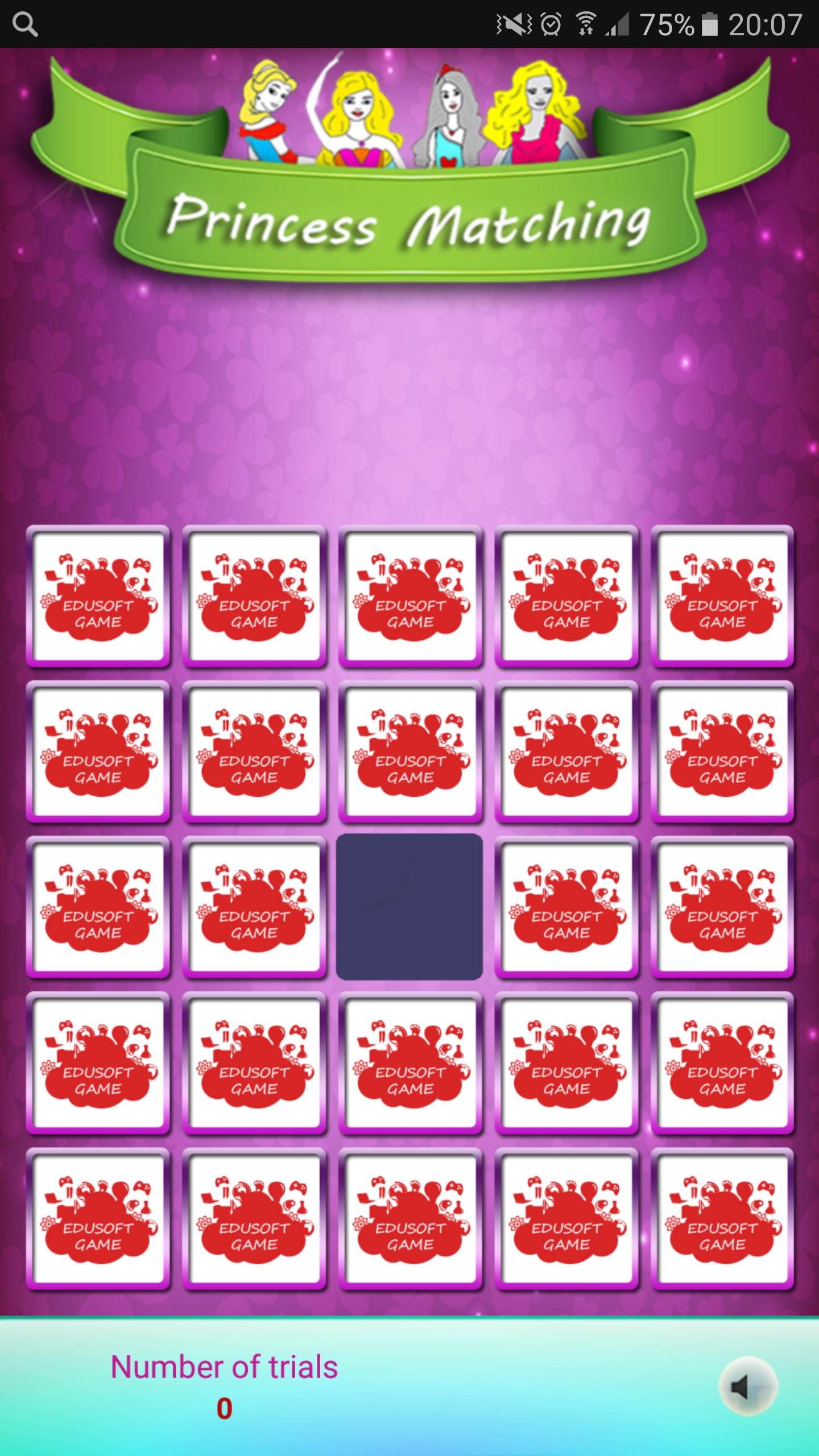 Fun With Princess Matching