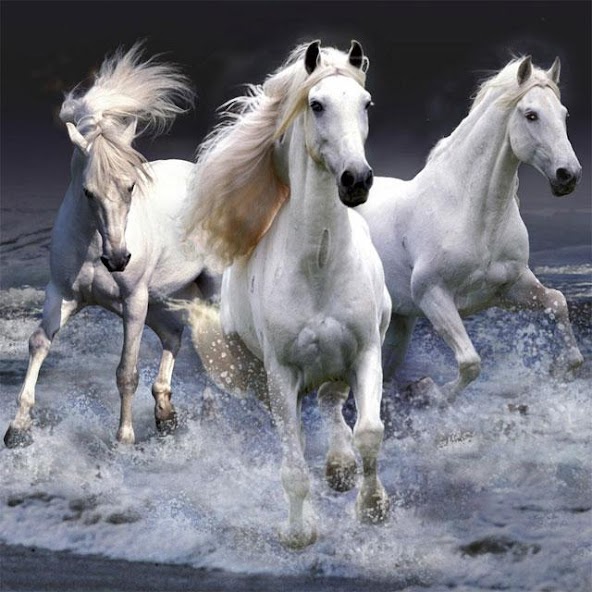 Horses Jigsaw Puzzles