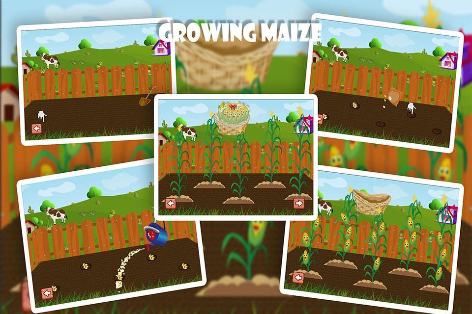 Jolly little farm prin