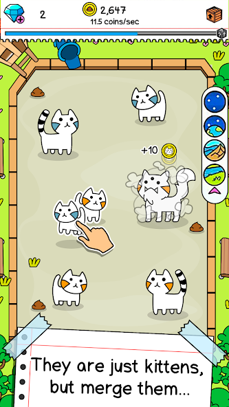 Cat Evolution