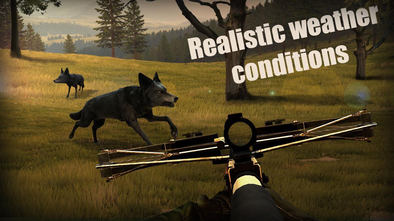 Crossbow Hunter: Wild Animals